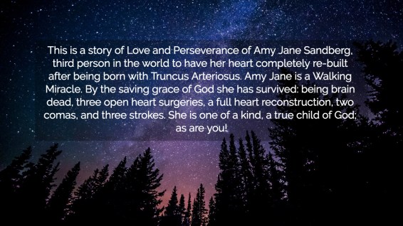 1536557971932-this-is-a-story-of-love-and-perseverance-of-amy-jane-sandberg-third-person-in-the-world